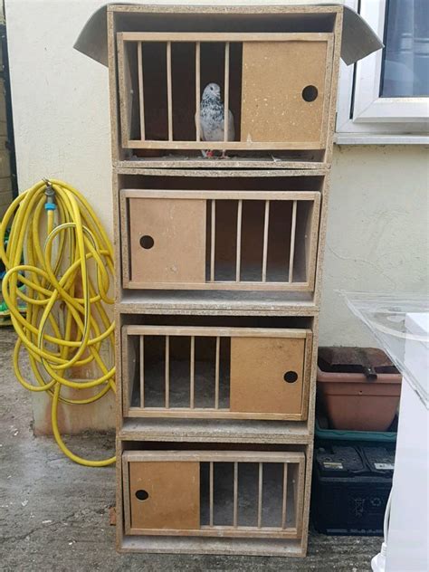 pigeon breeding boxes for sale.